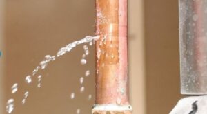 someone needs a plumber